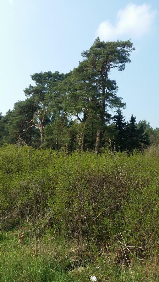 Luett Verbliev Malchow  Exterior photo
